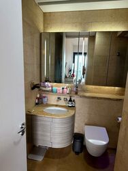 Duo Residences (D7), Apartment #482799261